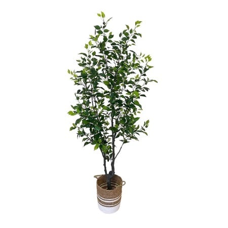 Artificial Ficus Tree - 1.9m - Basket White and Brown