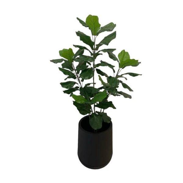 Artificial Fiddle Tree - 1.2m - Short Black Textured Pot by masons home decor singapore