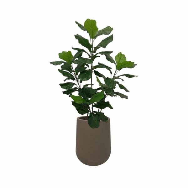 Artificial Fiddle Tree - 1.2m - Short Brown Textured Pot by masons home decor singapore