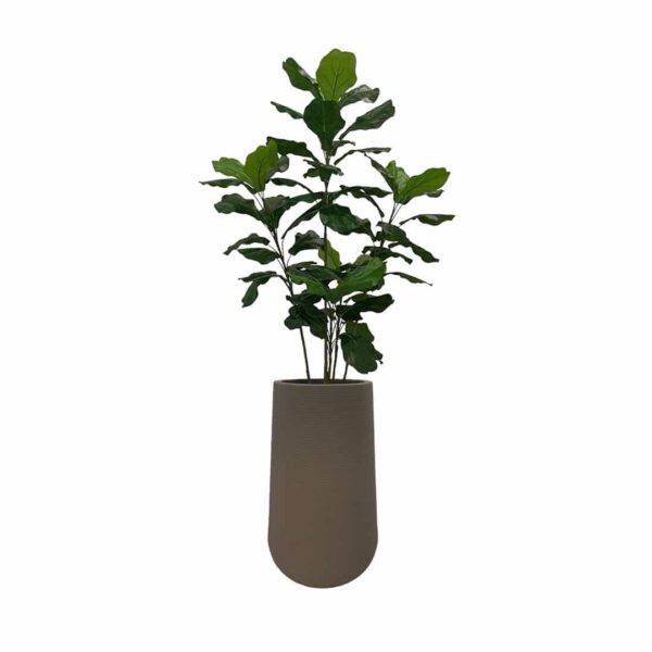 Artificial Fiddle Tree - 1.2m - Tall Brown Textured Pot by masons home decor singapore