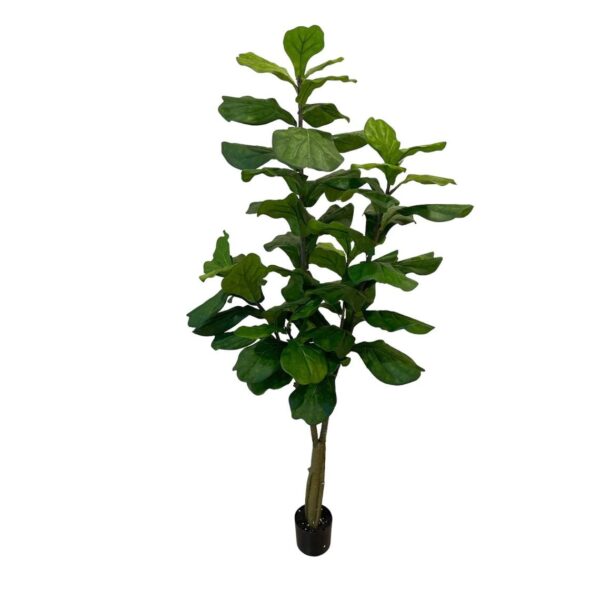 Artificial Fiddle Tree - 1.8m - Black Basic Plastic Pot by masons home decor singapore