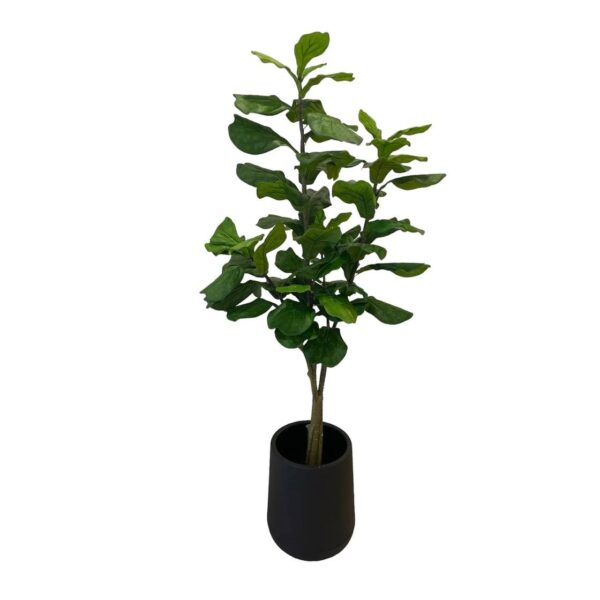 Artificial Fiddle Tree - 1.8m - Short Black Textured Pot by masons home decor singapore