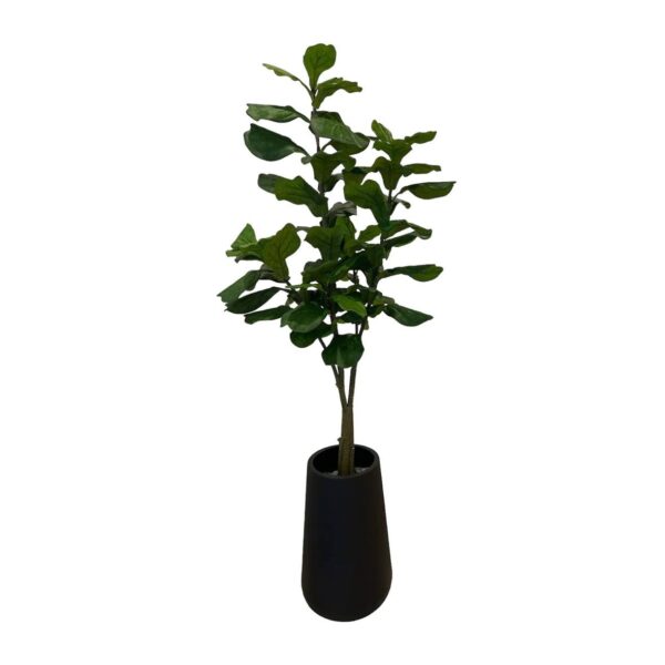 Artificial Fiddle Tree - 1.8m - Tall Black Textured Pot by masons home decor singapore