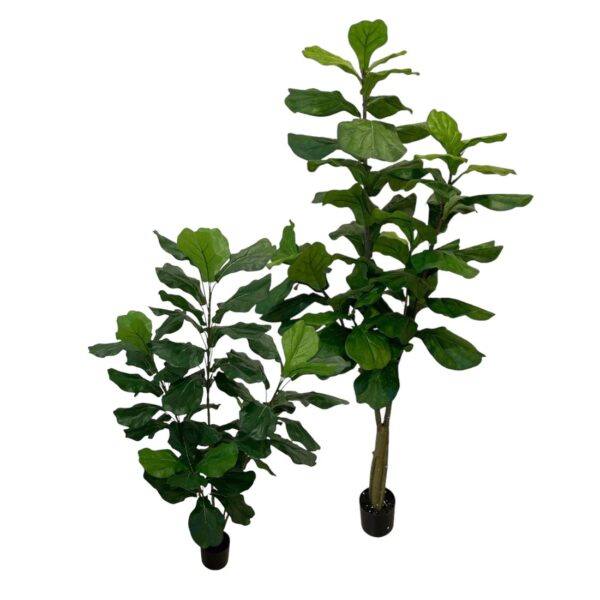 Artificial Fiddle Tree (Set of 2) - 1.2m and 1.8m - Pot None