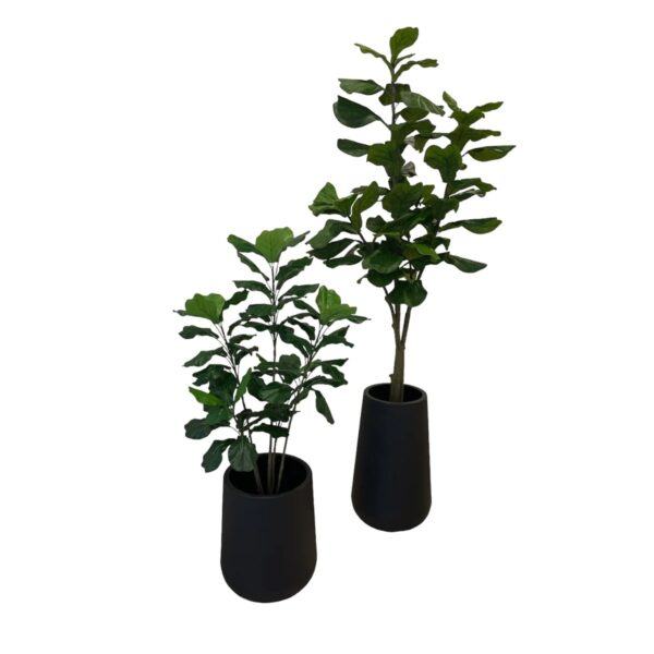 Artificial Fiddle Tree (Set of 2) - 1.2m and 1.8m - Short and Tall Pot Black