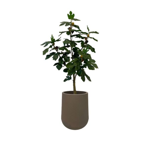 Artificial Fig Tree - 1.2m - Short Brown Textured Pot by masons home decor singapore