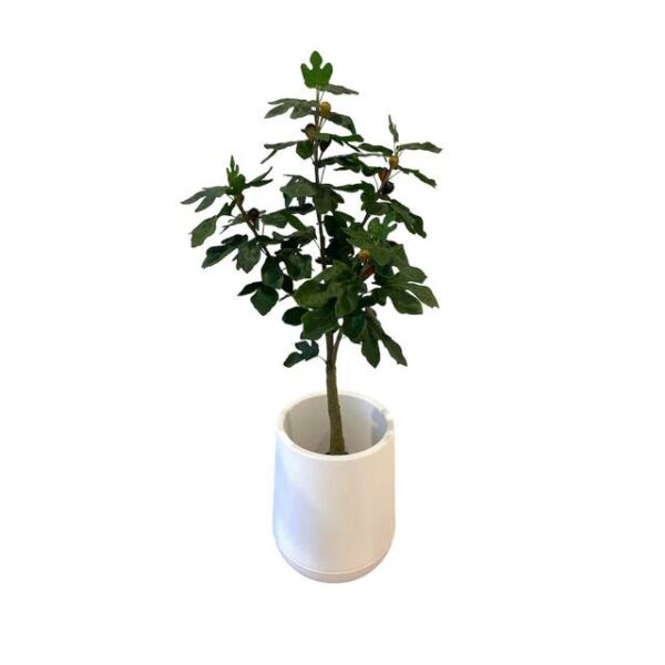 Artificial Fig Tree - 1.2m - Short White Textured Pot by masons home decor singapore