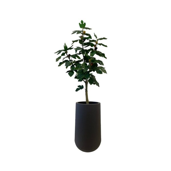 Artificial Fig Tree - 1.2m - Tall Black Textured Pot by masons home decor Singapore