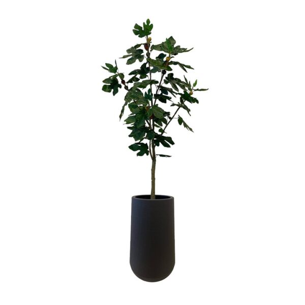 Artificial Fig Tree - 1.5m - Tall Black Textured Pot by masons home decor Singapore