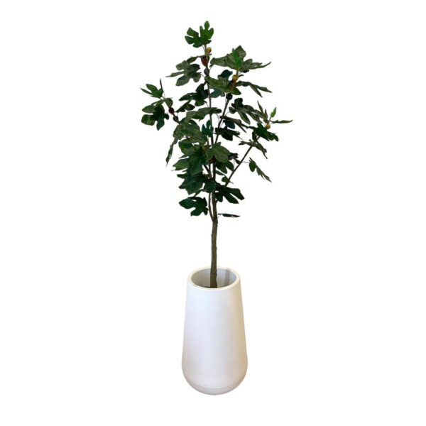 Artificial Fig Tree - 1.5m - Tall White Textured Pot by masons home decor singapore