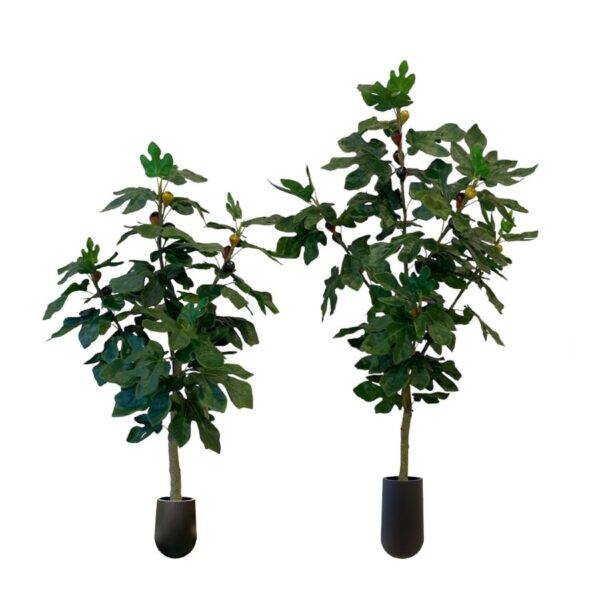 Artificial Fig Tree (Set of 2) - 1.2m and 1.5m - Short and Tall Pot Black