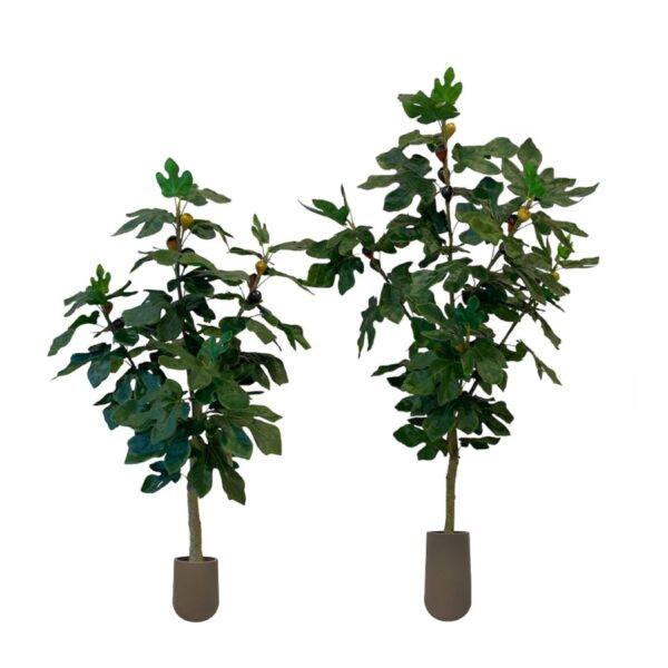 Artificial Fig Tree (Set of 2) - 1.2m and 1.5m - Short and Tall Pot Brown