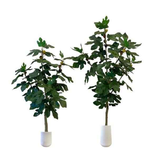 Artificial Fig Tree (Set of 2 - Assorted) - 1.2m & 1.5m - Short and Tall White Textured Pot by masons home decor singapore