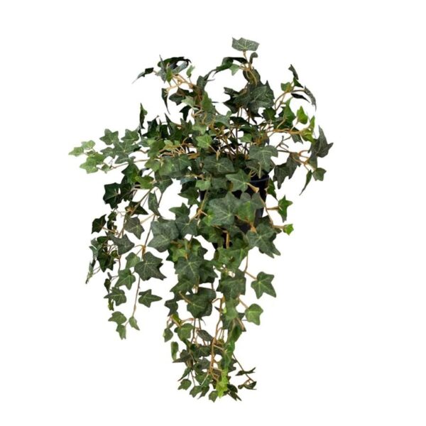 Artificial Frosted Green Ivy Bush (Without Wooden Stand) - Black Pot by masons home decor singapore