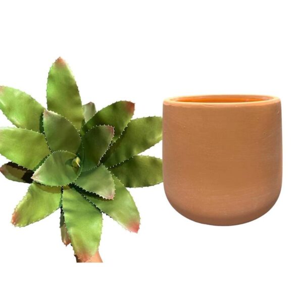 Artificial Green Bromelia - Terracotta Pot 1 by masons home decor singapore