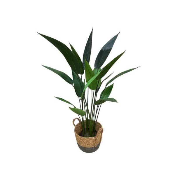 Artificial Heliconia Plant - 1.2m - Brown and Grey Basket by masons home decor singapore