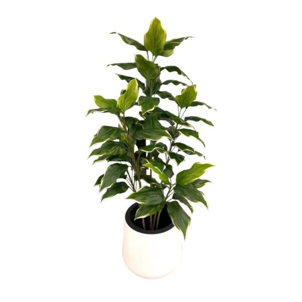 Artificial Hosta Plant - 1.2m - White Smooth Plastic Pot with White Stones by masons home decor singapore