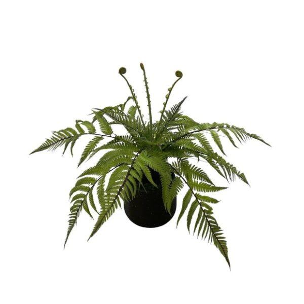 Artificial Lady Fern - Black Pot 1 by masons home decor singapore