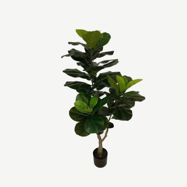 Artificial Lyrata Ficus - 1.2m -Basic Black Pot by masons home decor singapore