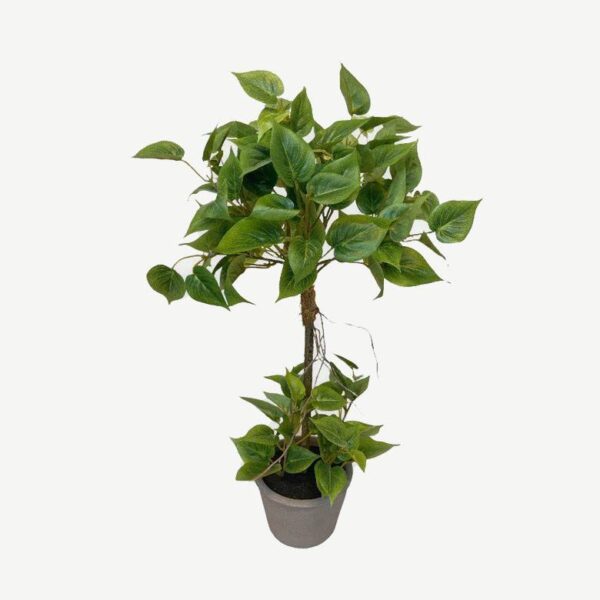 Artificial Mini Pothos Topiary - Grey Pot by masons home decor singapore