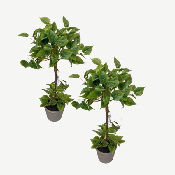 Artificial Mini Pothos Topiary (Set of 2) - Grey Pot by masons home decor singapore