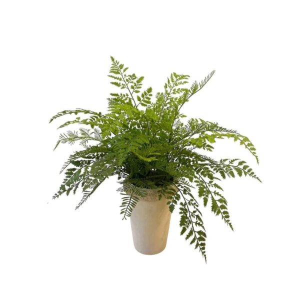 Artificial Northern Fern - Off-White Ceramic Pot by masons home decor singapore