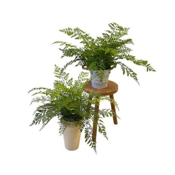 Artificial Northern Fern (Set of 2) - Zinc Pot and Off-White Ceramic Pot by masons home decor singapore