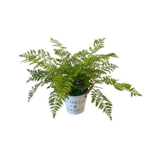 Artificial Northern Fern - Zinc Pot by masons home decor singapore