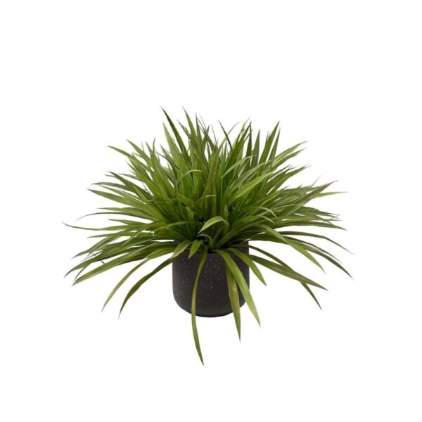 Artificial Oriental Orchid Leaves - Black Pot 1 by masons home decor singapore