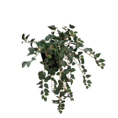 Artificial Philo Bush (Without Wooden Stand) - Black Pot by masons home decor singapore