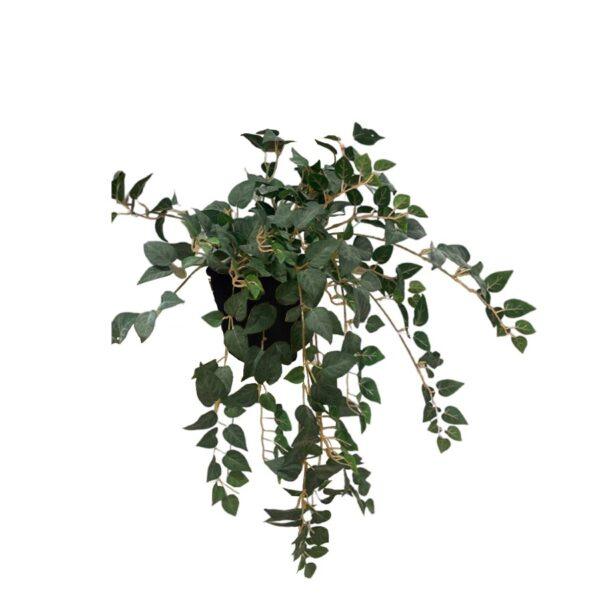 Artificial Philo Bush - 0.3m - Pot Black