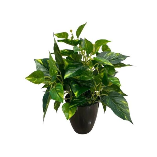 Artificial Pothos - 0.45m - Black Melanin Pot 1 by masons home decor singapore