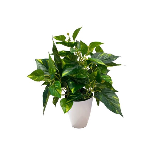 Artificial Pothos - 0.45m - White Melanin Pot 1 by masons home decor singapore