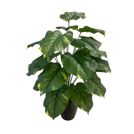 Artificial Pothos - 0.9m - Black Melanin Pot by masons home decor singapore