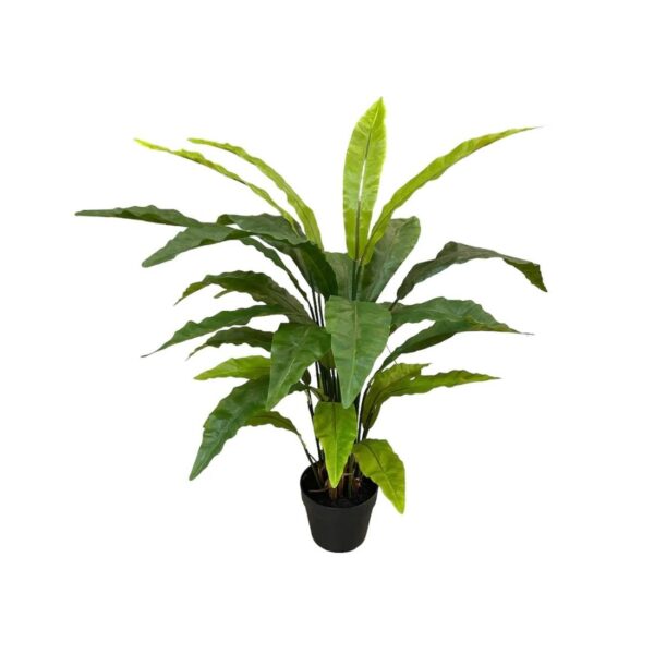 Artificial Potted Bird's Nest Fern - Basic Black Pot by masons home decor singapore