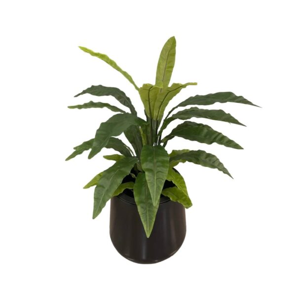 Artificial Potted Bird's Nest Fern - Black Smooth Plastic Pot with Black Stones by masons home decor singapore