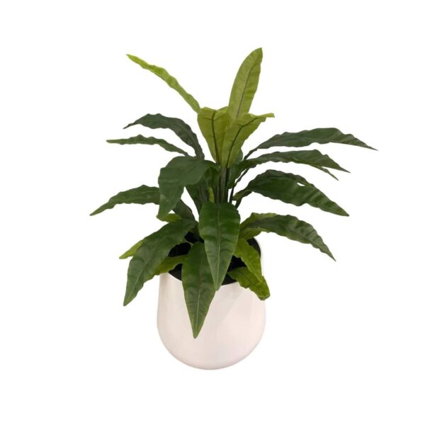 Artificial Potted Bird's Nest Fern - White Smooth Plastic Pot with White Stones by masons home decor singapore