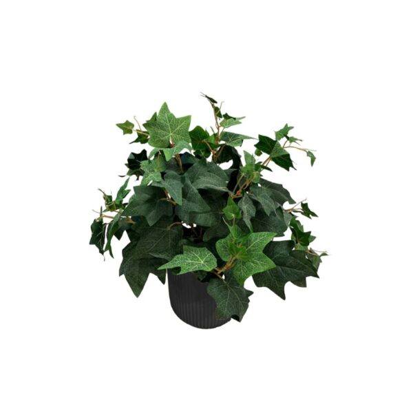 Artificial Potted Ivy Bush - 0.5m - Pot Black