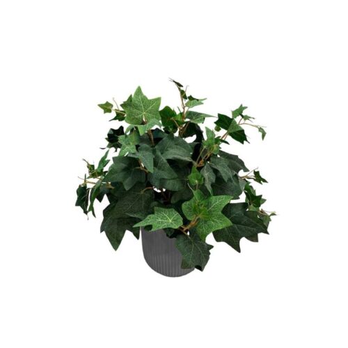 Artificial Potted Ivy Bush - Grey Straight Textured Pot 1 by masons home decor singapore