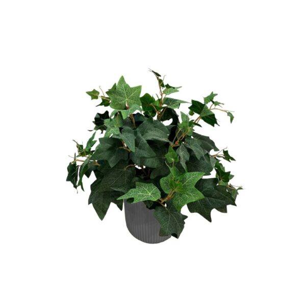 Artificial Potted Ivy Bush - 0.5m - Pot Grey