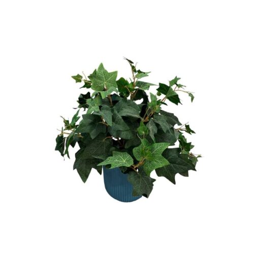 Artificial Potted Ivy Bush - 0.5m - Pot Teal