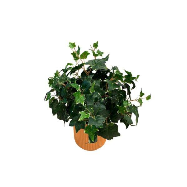 Artificial Potted Ivy Bush (Variegated) - Terracotta Straight Textured Pot 1 by masons home decor singapore