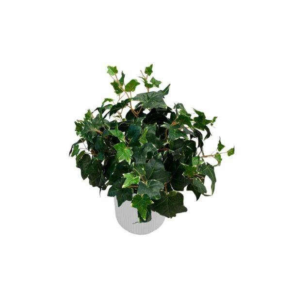 Artificial Potted Ivy Bush (Variegated) - White Straight Textured Pot 1 by masons home decor singapore_