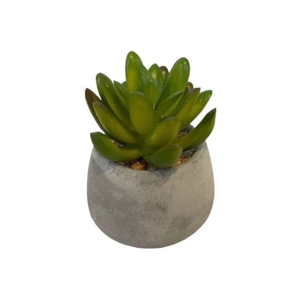 Artificial Potted Little Jewel Succulent - Grey Pot by masons home decor singapore