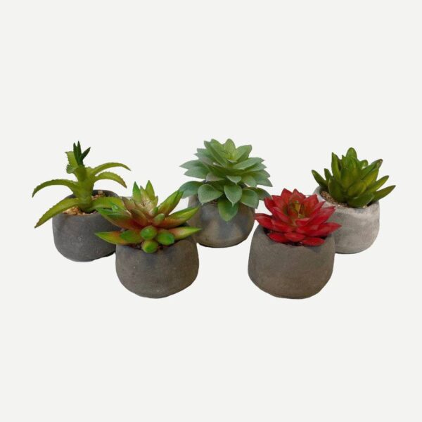 Artificial Potted Mini Succulents - Set of 5 (Assorted) - Grey Pot (Without wood slice) by masons home decor singapore