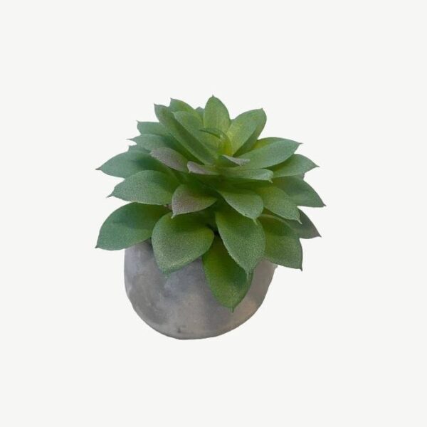 Artificial Potted Molded Wav Agave - Grey Pot by masons home decor singapore