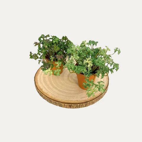 Artificial Potted Parsley (Set of 2 - Mix) - Brown Plastic Pot by masons home decor singapore