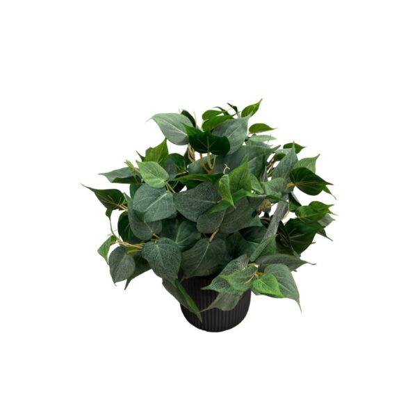 Artificial Potted Philo Bush - Black Straight Textured Pot 1 by masons home decor singapore