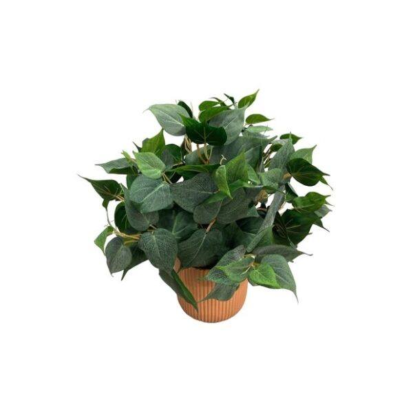 Artificial Potted Philo Bush - Terracotta Straight Textured Pot 1 by masons home decor singapore