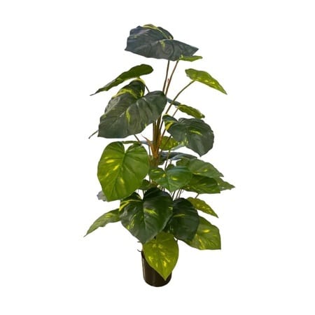 Artificial Potted Pothos - 0.8m - Pot None